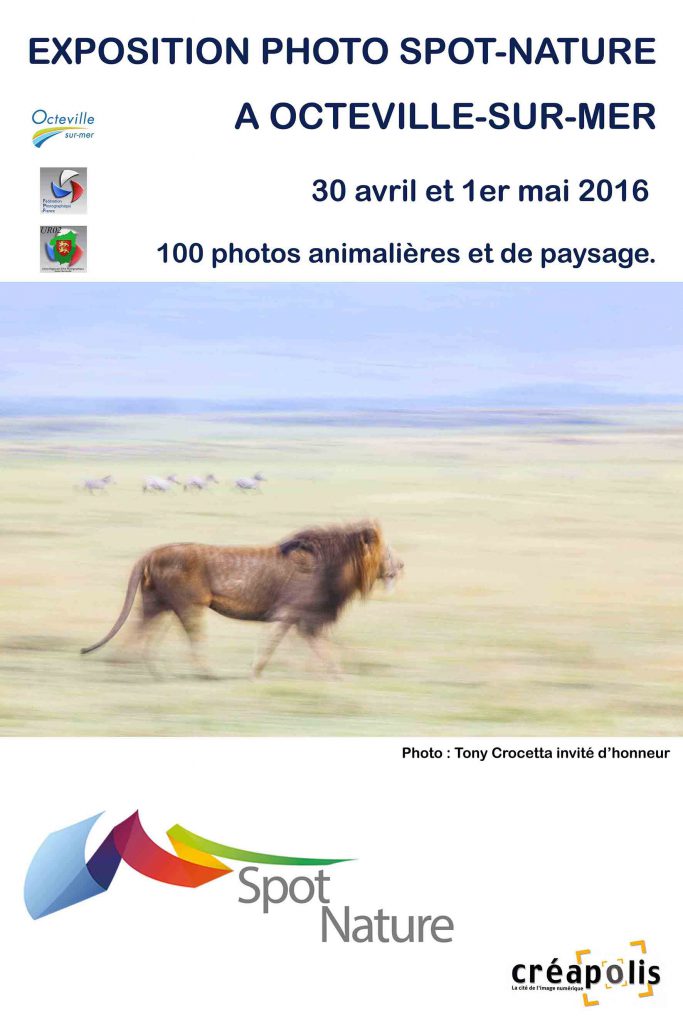 Affiche 2016