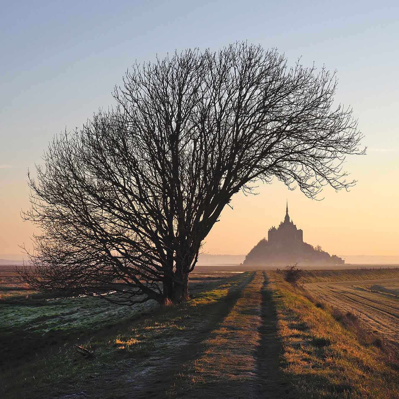 Le Mont au Carré