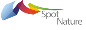 Logo Spot Nature