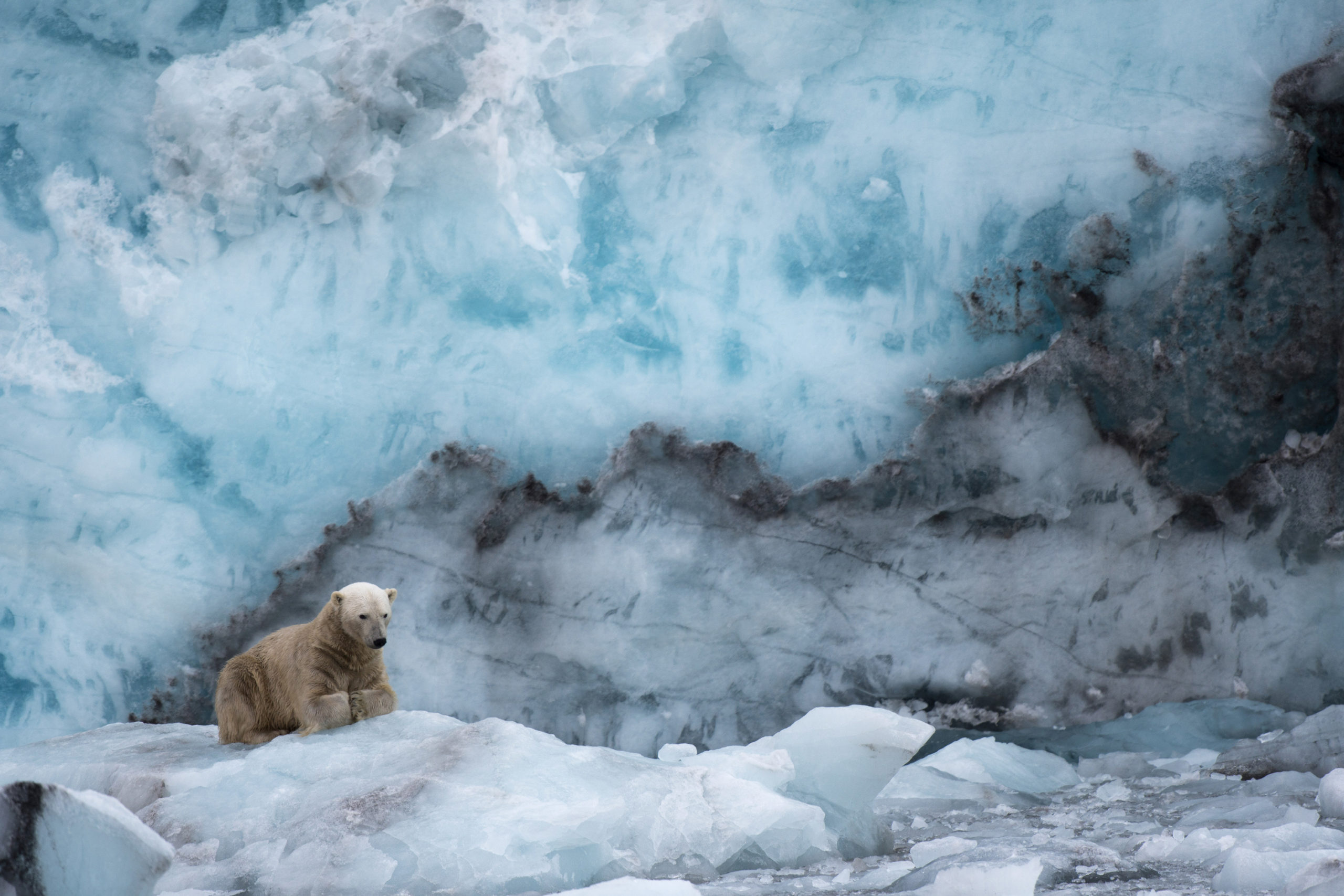 SEVENO JM - Horizon Svalbard