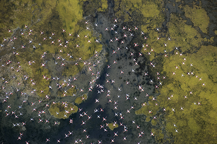 La Camargue vue du ciel