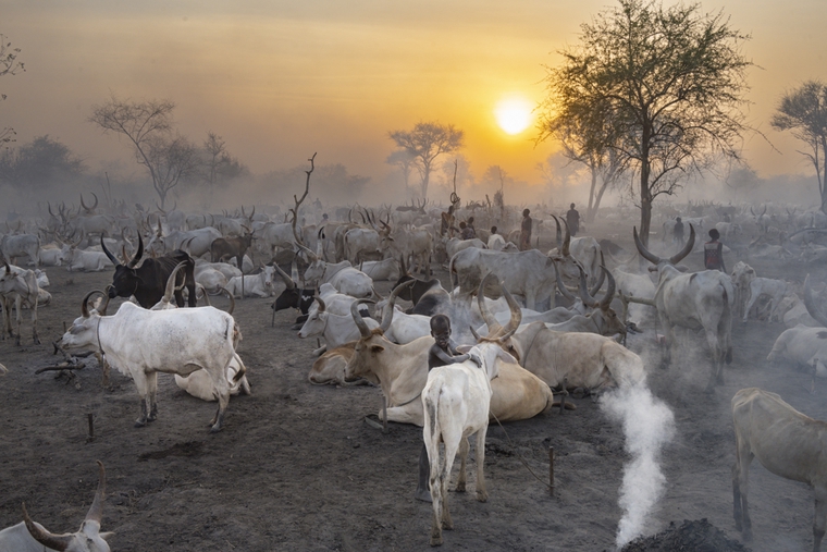 Mundari